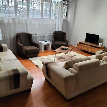 Ozcan Sisli 02
